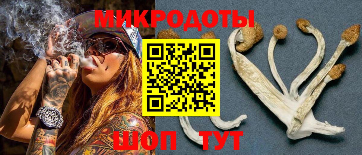 Псилоцибиновые грибы Magic Shrooms Троицк